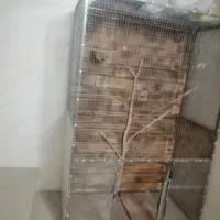 فروش قفس پرنده