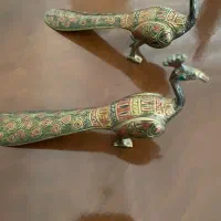 طاووس برنز