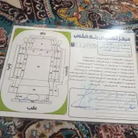 پژونقرهایتمیزعروسک|خودرو سواری و وانت|سراوان, |دیوار