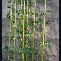 فروش بامبو مصنوعی