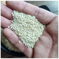 فروش عمده کنجد سفید پوست کنده پاکستانی تازه