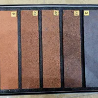 آجر انگلیسی طیف