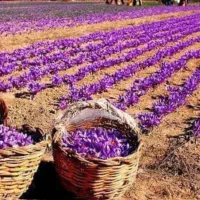 نگهبان وسرایدار