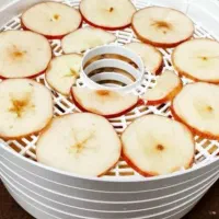 میوه خشک کن|سایر لوازم برقی|برازجان, |دیوار