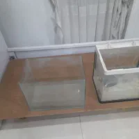 آکواریوم شرکتی و ساده