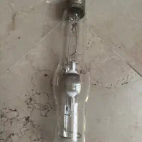 لامپ خیاری osram