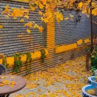 اجاره لاین درسالن زیبایی شلوغ و‌پرمشتری|خدمات آرایشگری و زیبایی|مشهد, صیاد شیرازی|دیوار