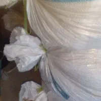 بقلی امسالی