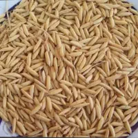 چلتوک ،درجه یک علی کاظمی