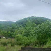 207متر زمین در نعمت اباد