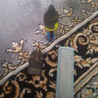پاد