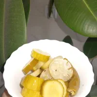 خیارشور