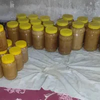 عسل کنار کندو