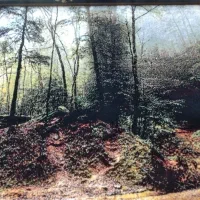 تابلو فرش|کلکسیون اشیاء عتیقه|ساوه, |دیوار