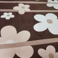 فرش ۹ متری کرم قهوه ای|فرش|رشت, پل تالشان|دیوار