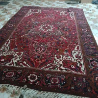 فرش|فرش|عجب شیر, |دیوار