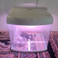 آکواریوم شرکتی