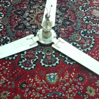 سایر|آبچکان و نظمدهنده ظروف|ملایر, |دیوار