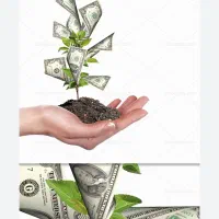 نیازمند سرمایه ۲۵۰ میلیون