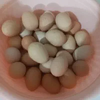 تخم مرغ محلی تازه