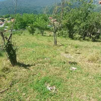 1240 متر زمین با سند تکبرگ پروانه ساخت روستای اتو