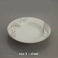 ظرف چینی  شانی