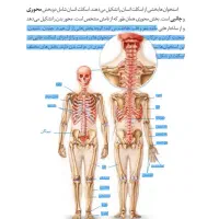 تدریس خصوصی تمام مقاطع
