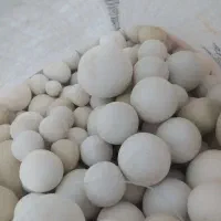 (/سنگ‌آکواریوم زیبا/)