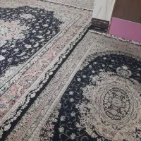 فرش و کناره|فرش|زاهدان, |دیوار