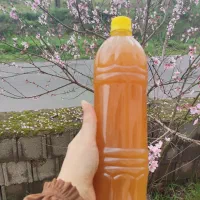 آبغوره خانگی