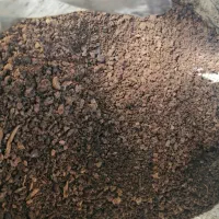 کود گوسفندی