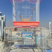 قفس پرنده