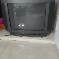 تلوزیون|تلویزیون و پروژکتور|کاشان, زیدی|دیوار