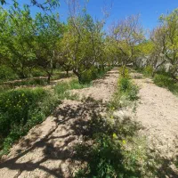 فروش-زمین-400-متری-احمداباد-تهراندشت-جنوب-کردان