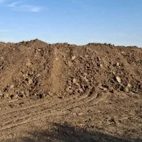 کود گاو درجه ۱|خدمات باغبانی و درختکاری|ماهان, |دیوار