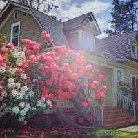 منزل-اجاره-جمهوری-و-ابراهیمی