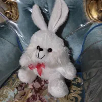 عروسک نو|اسباب‌بازی بچه|صدرا-فارس, فاز ۱|دیوار