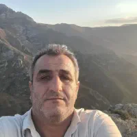 خرید انوای مرکبات پرتقال نارنگی