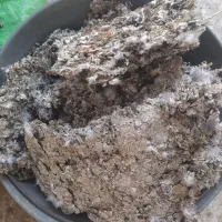 کود خشک و مرغوب کبوتر