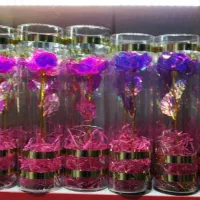 گل رز هولوگرامی هفت رنگ