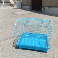 قفس پرنده