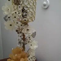 شاخه نبات نو
