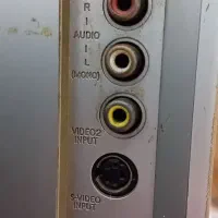 تلویزیون ۲۹ اینچ|تلویزیون و پروژکتور|گنبد کاووس, |دیوار