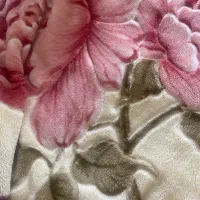پتو