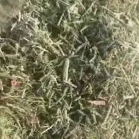 خارشتر و2تن علوفه باغی|لوازم جانبی حیوانات|نیشابور, مازول|دیوار