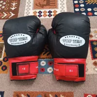 دستکش بوکس|تجهیزات ورزشی|تهران, ورزشگاه آزادی|دیوار
