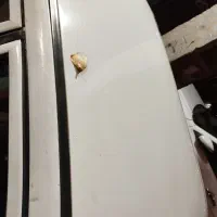 پراید ۸۱دوگانه|خودرو سواری و وانت|مرند, |دیوار