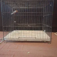 قفس (دو شکل مختلف)