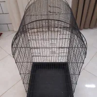 قفس کاسکویی