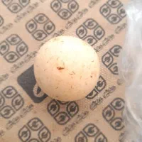 سنگ الماس آسیاب یا مروارید غار بروجردی|کلکسیون اشیاء عتیقه|بندر گناوه, |دیوار